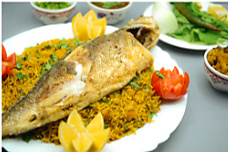مطبق سيباس