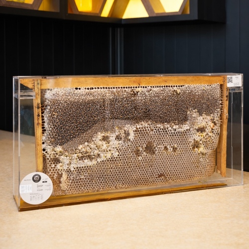 Qatari flower honeycomb 2900gram