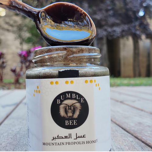 MOUNTAIN PROPOLIS HONEY -350 GRAM