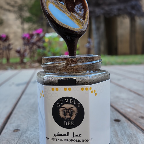 MOUNTAIN PROPOLIS HONEY -350 GRAM