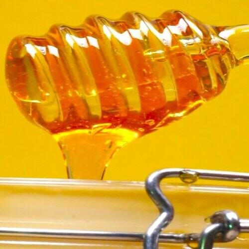 SIDR HONEY-  (QATARI) - HALF KILO GRAM