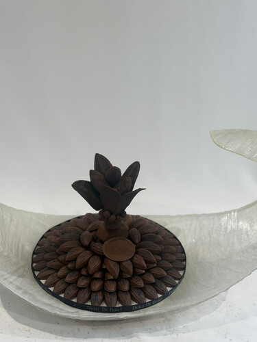 saltd cramel black tay 1klio