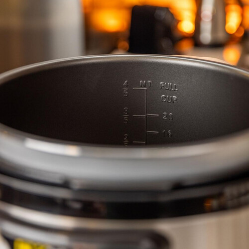 pressure cooker 10L