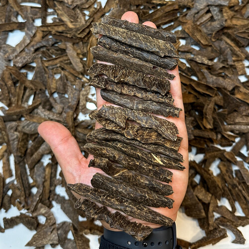 تراد آميري في في في اي بي