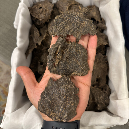 سبايك ذهب فيتنامية vip