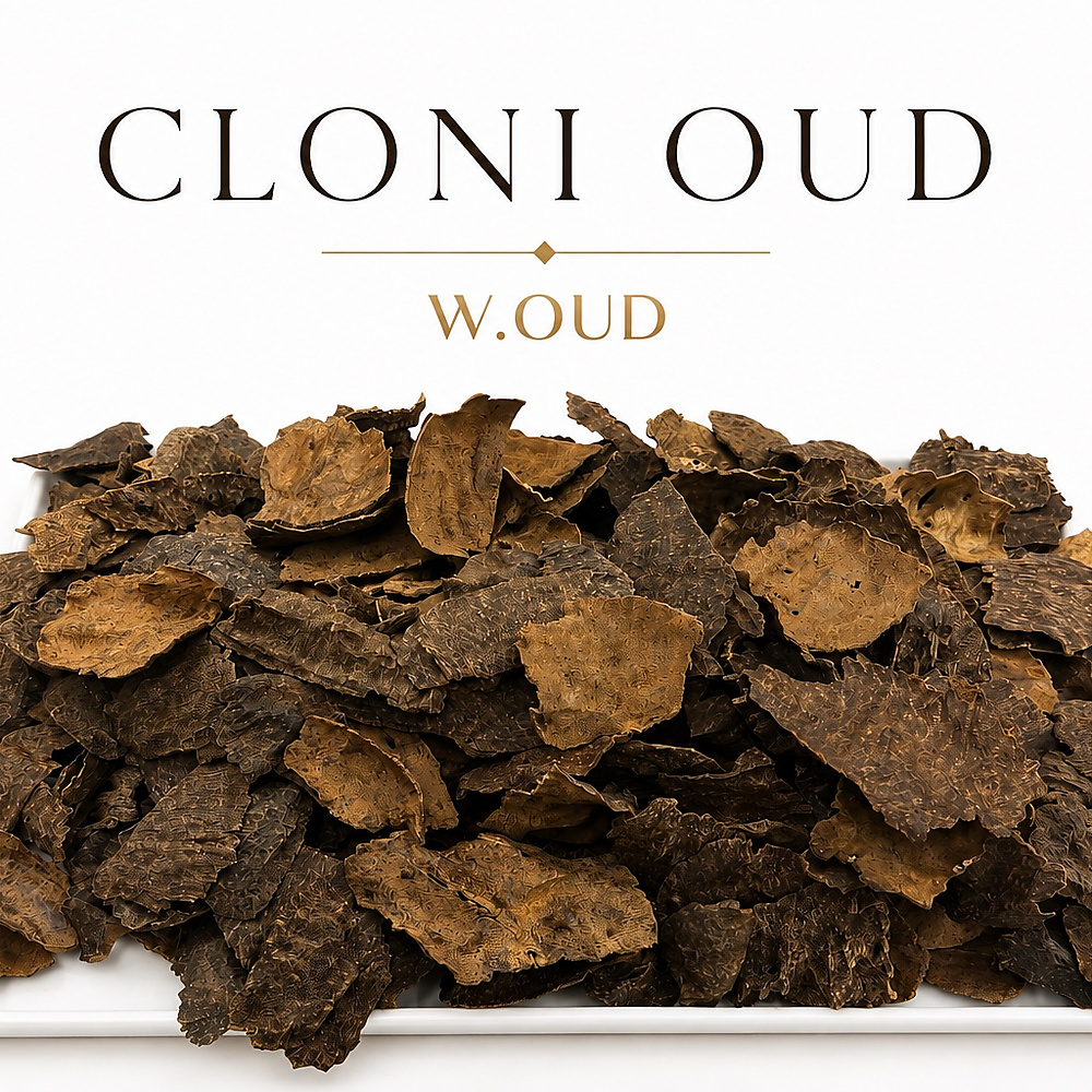 Indian Cloni Oud
