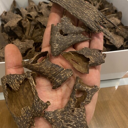 Cambodian incense council