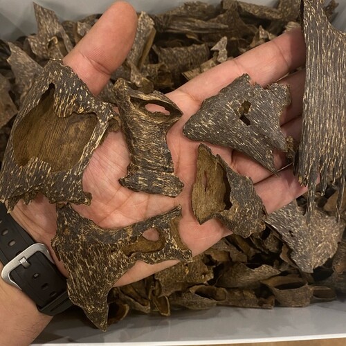 Cambodian incense council