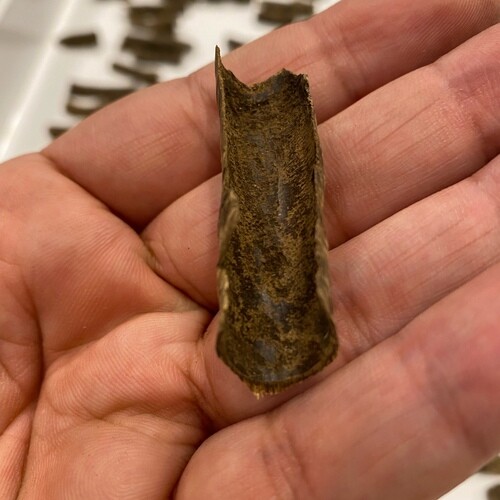 Elite Trade Incense VVIP