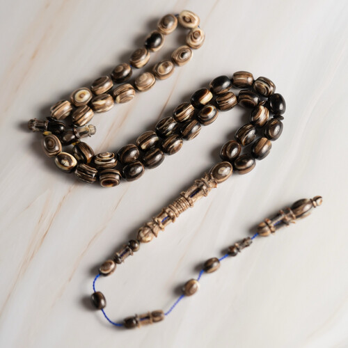 مسباح من ظهر سلحفاة