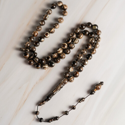 مسباح من ظهر سلحفاة