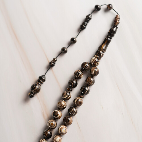 مسباح من ظهر سلحفاة