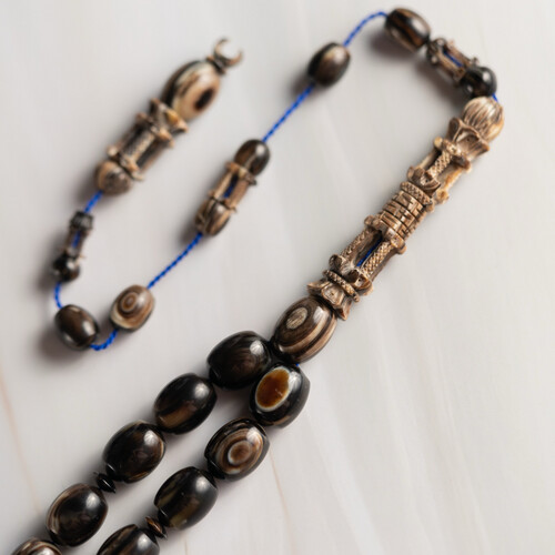 مسباح من ظهر سلحفاة