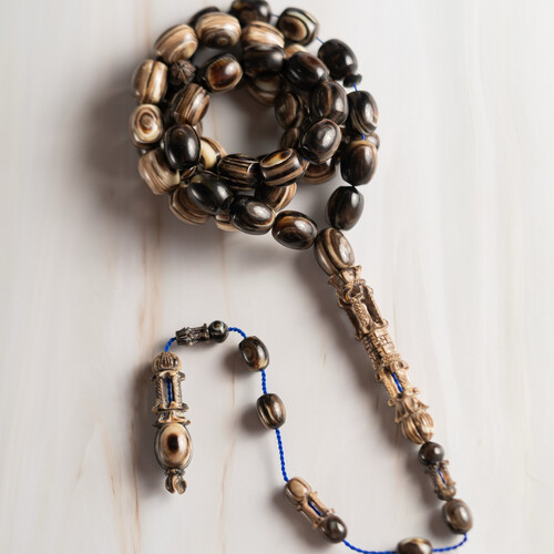 مسباح من ظهر سلحفاة