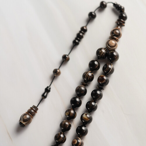 مسباح من ظهر سلحفاه