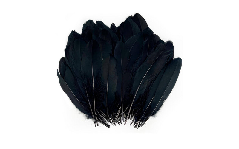 Feathers - 10 Pieces - Black