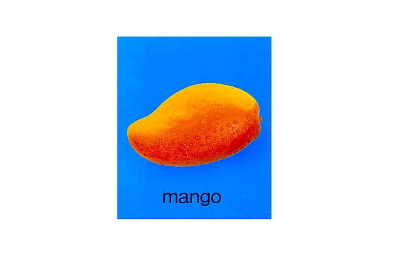 Baby Cognition Book - Fruits