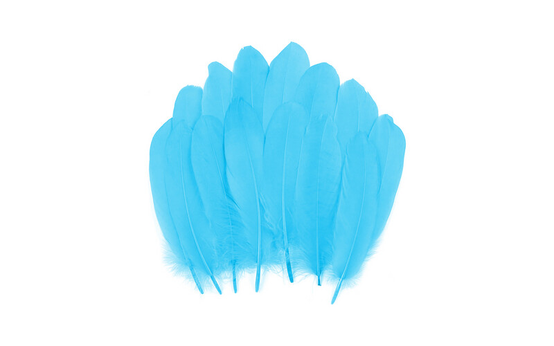 Feathers - 10 Pieces - Light Blue