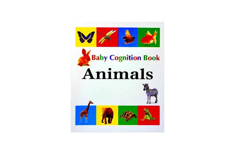 10 Baby Cognition Books - The Ultimate collection