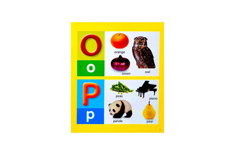 Baby Cognition Book - Letters
