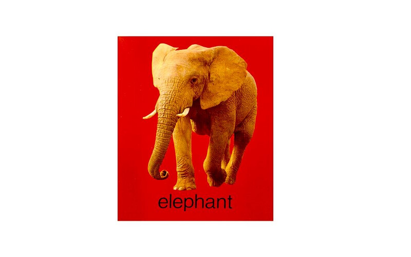 Baby Cognition Book - Animals