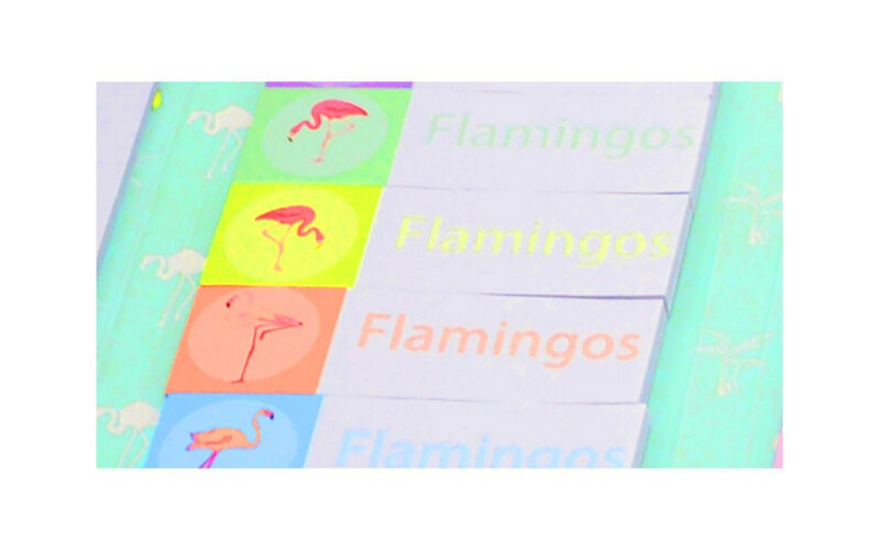 Flamingo Collection - Stick Notes