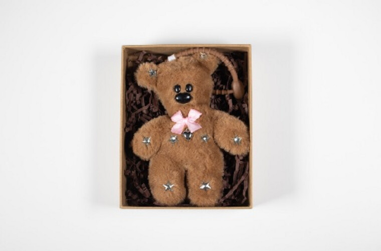 STARRY THE TEDY CHARM