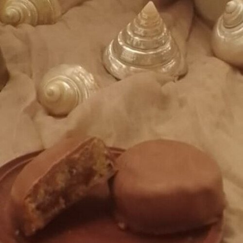 chocolate covered halazonia