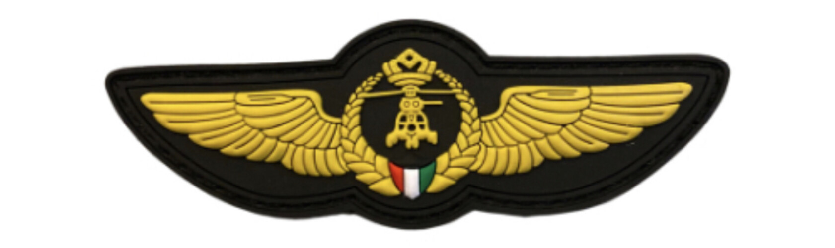 ‏NATIONAL GUARD PILOT WING