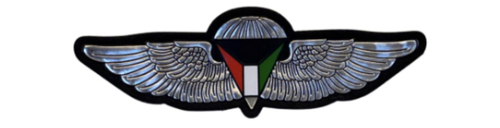 ‏TACTICAL PARATROOPER - SILVER.1