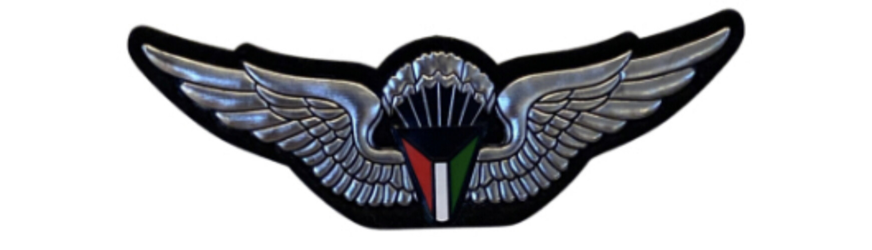 ‏TACTICAL PARATROOPER - SILVER.3