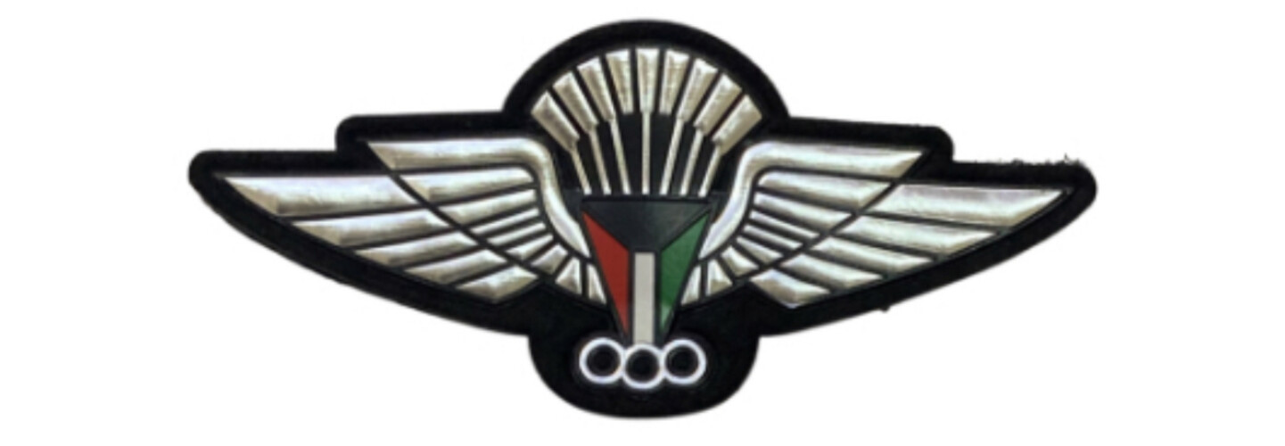 ‏FREE PARATROOPER - SILVER.1