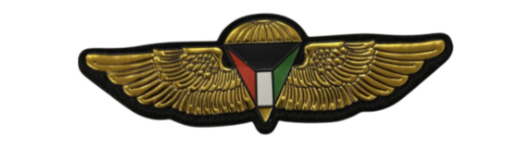 ‏TACTICAL PARATROOPER - GOLD.1