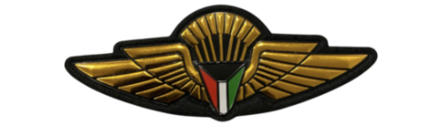 ‏TACTICAL PARATROOPER - GOLD.2