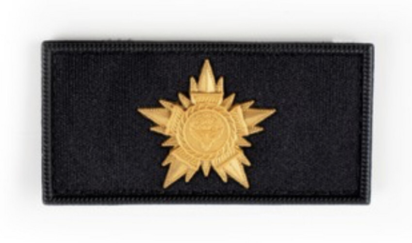 ‏OFFICER AGENT - ASSEMBLY GUARD - YELLOW