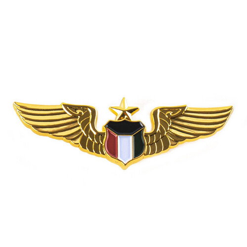 ‏CAPTAIN WING PIN