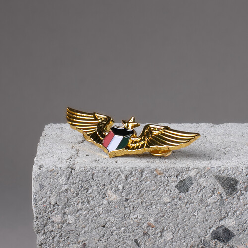 ‏CAPTAIN WING PIN
