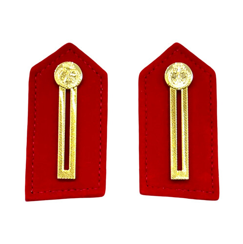 ARMY COLLAR INSIGNIA