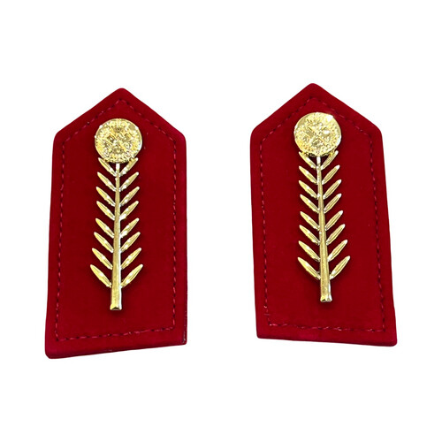 ‏‏ARMY COLLAR INSIGNIA - BRIGADIER GENERAL & ABOVE