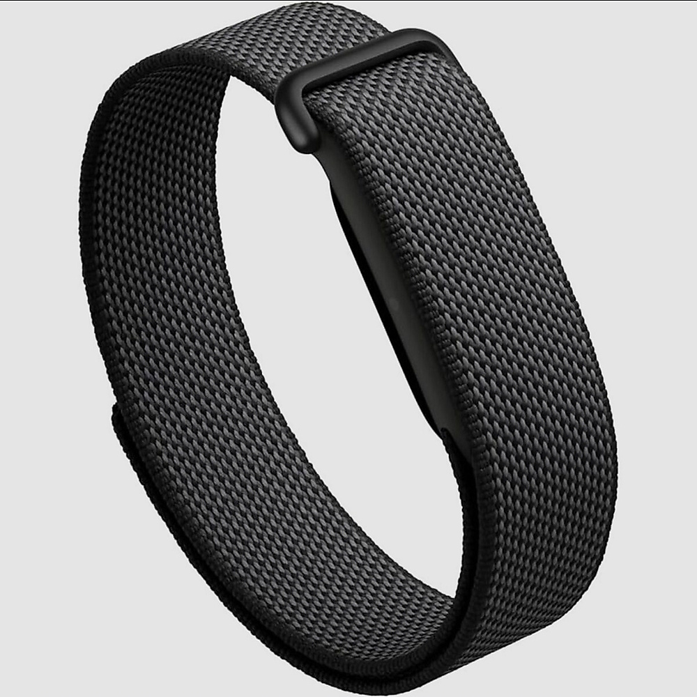 Google Fitbit Air