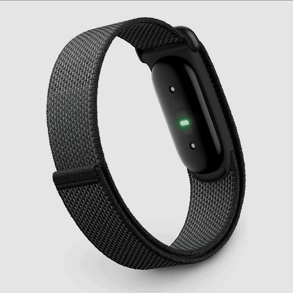 Google Fitbit Air