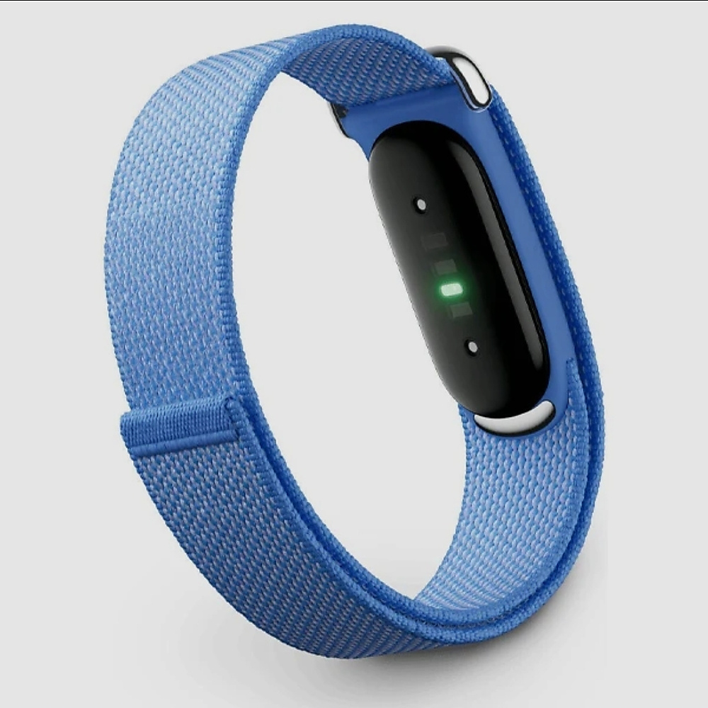 Google fitbit air