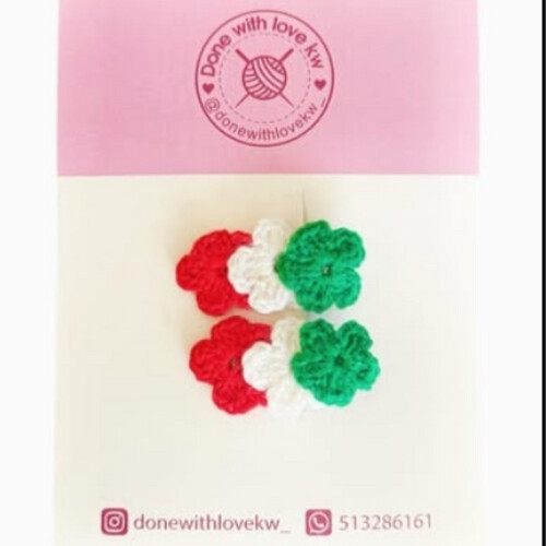 Kuwait flag colors hair clips