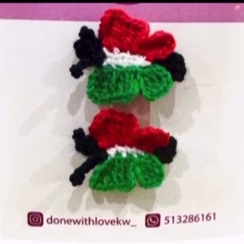 Kuwait flag colors hair clips