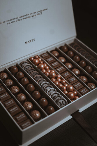 Chocolate Marty NEW 🤎🤍