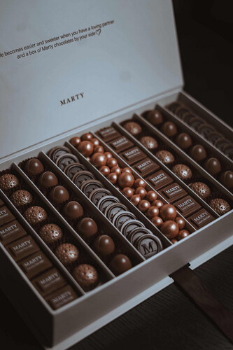 Chocolate Marty NEW 🤎🤍