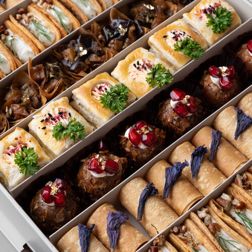 Salty Marty NEW🤎🤍