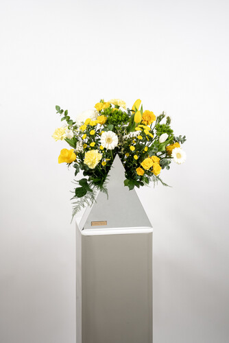 THE MAGICIAN BERMUDA 3