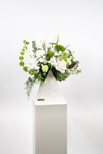 THE MAGICIAN BERMUDA 2