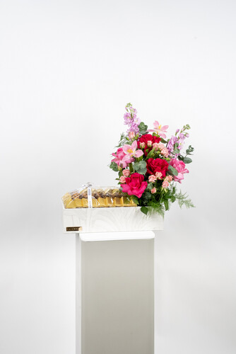 VICTORIOUS CHOCOLATE 1